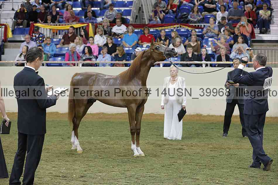 Proof 14usn_39968