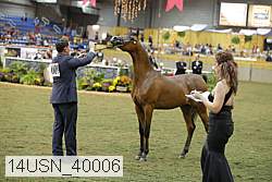 14usn_40006 proof