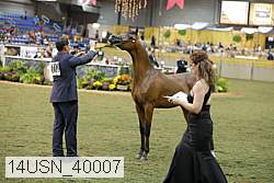 14usn_40007 proof