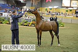 14usn_40008 proof