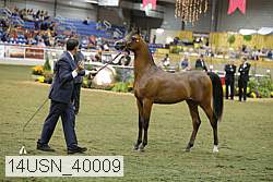 14usn_40009 proof