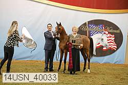 14usn_40033 proof