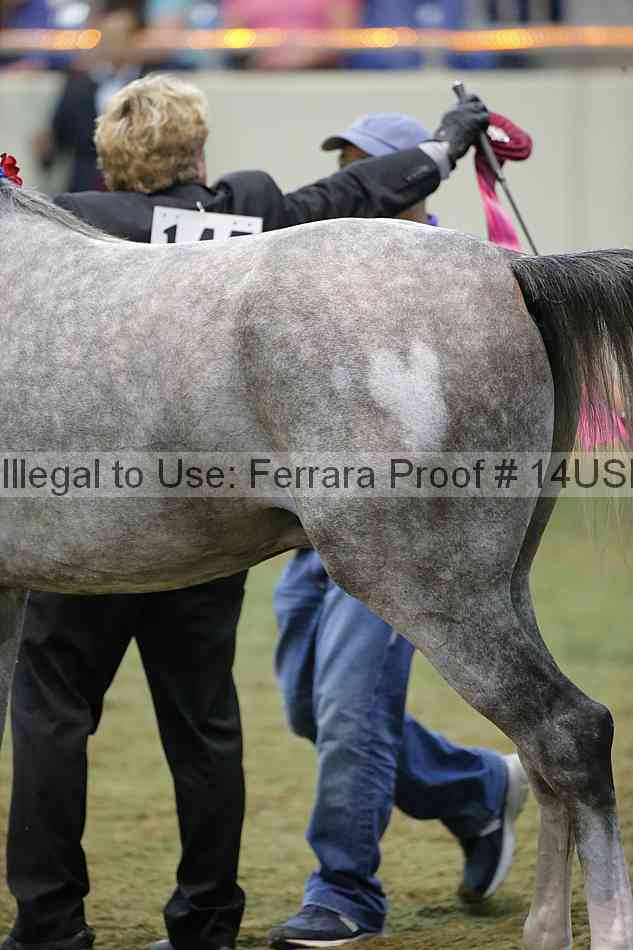 Proof 14usn_40063