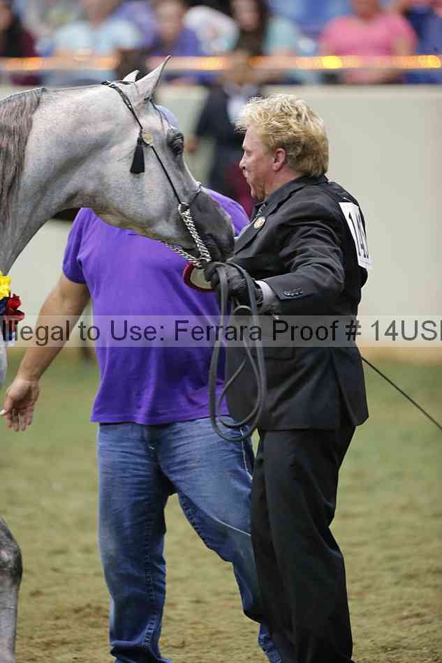 Proof 14usn_40069