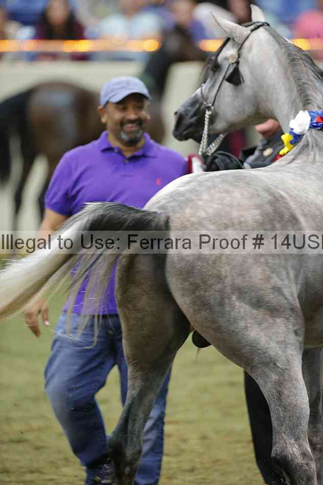 Proof 14usn_40072
