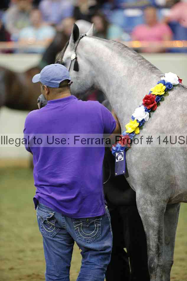 Proof 14usn_40076