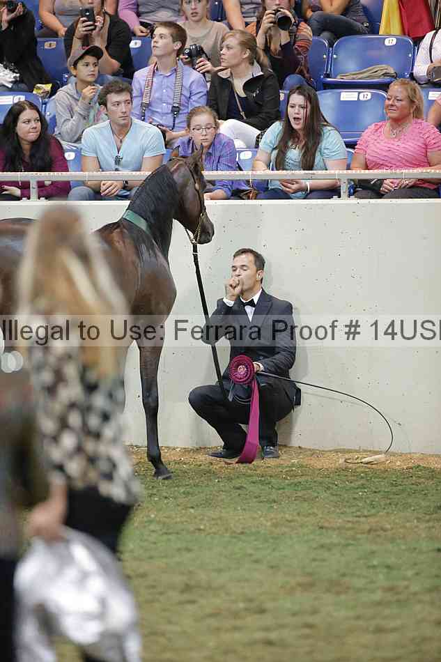 Proof 14usn_40095