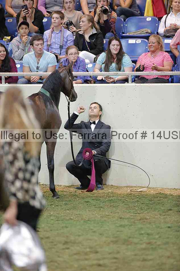 Proof 14usn_40096