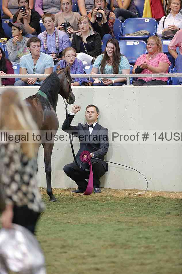 Proof 14usn_40097