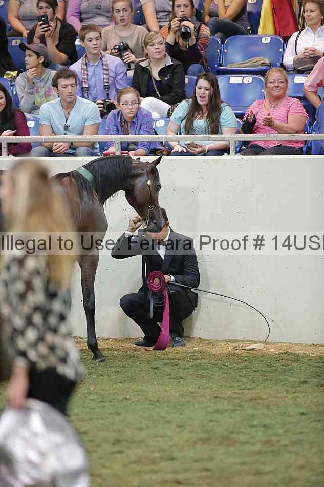 Proof 14usn_40098