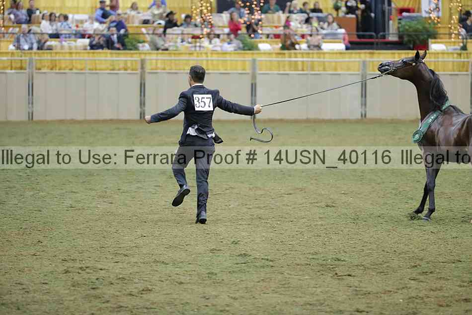 Proof 14usn_40116