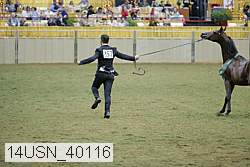 14usn_40116 proof