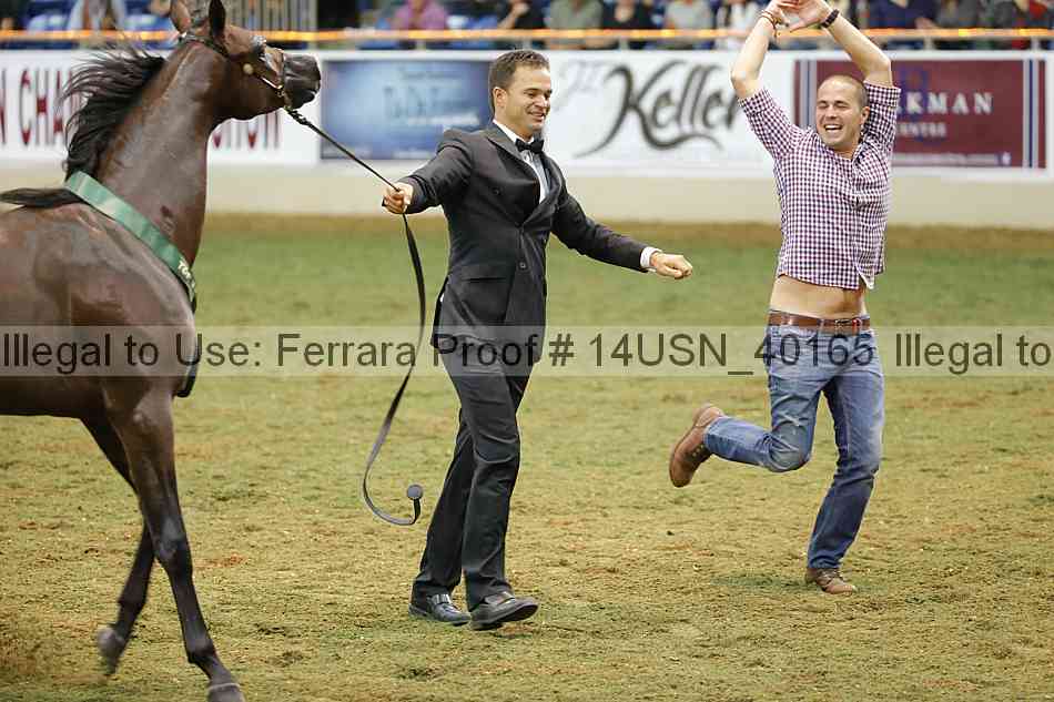 Proof 14usn_40165
