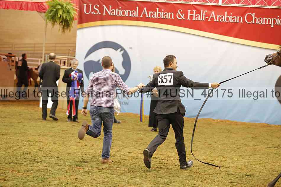 Proof 14usn_40175