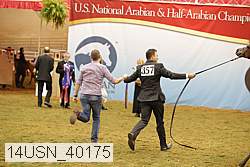 14usn_40175 proof