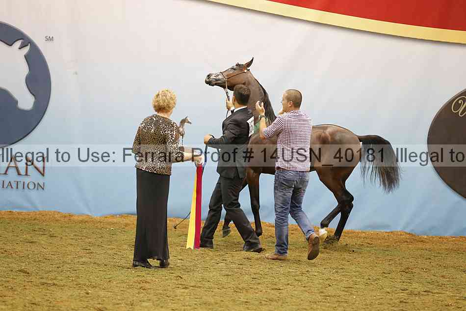 Proof 14usn_40181