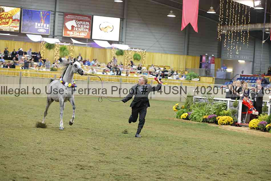 Proof 14usn_40201