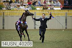 14usn_40208 proof