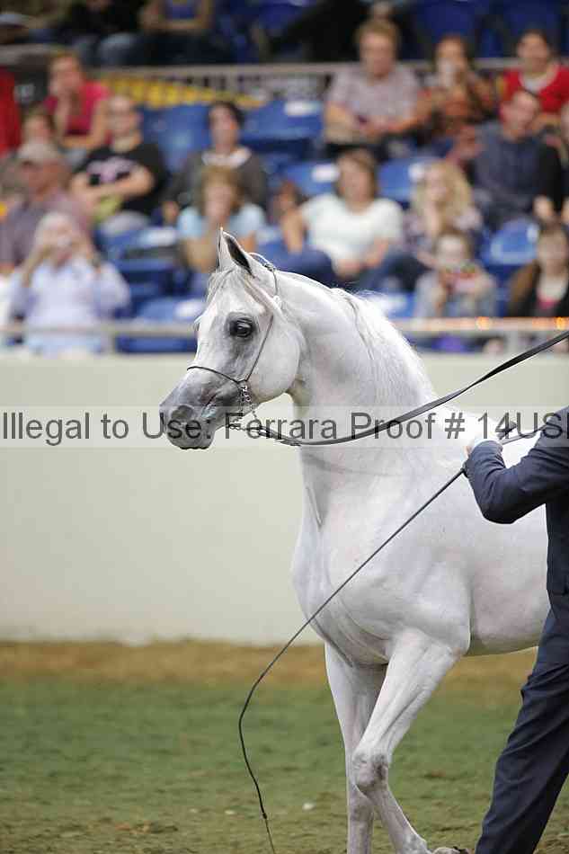 Proof 14usn_38859