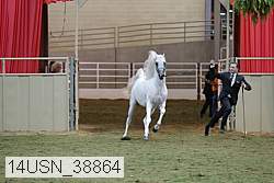 14usn_38864 proof