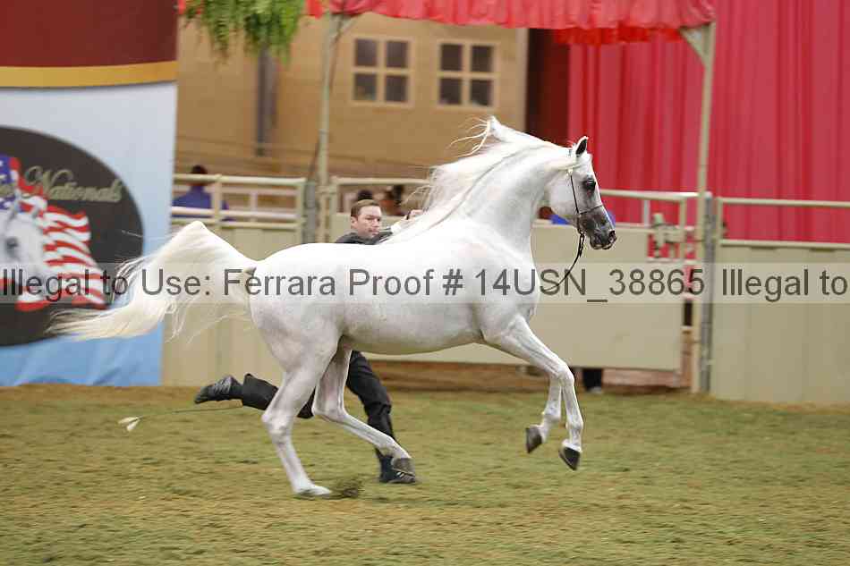 Proof 14usn_38865