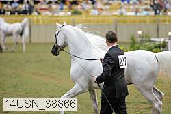 14usn_38866 proof