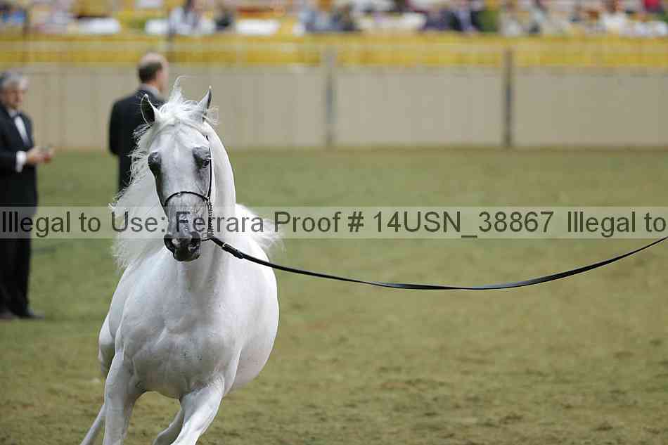 Proof 14usn_38867