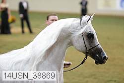 14usn_38869 proof