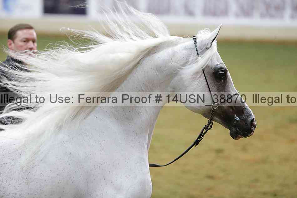 Proof 14usn_38870