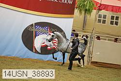 14usn_38893 proof