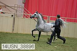 14usn_38896 proof