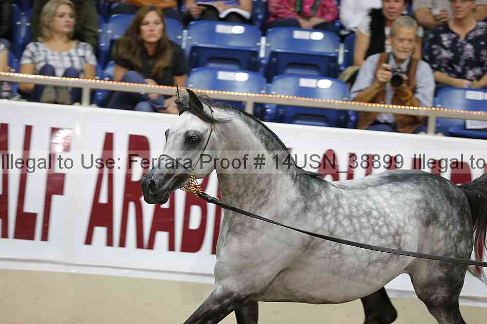 Proof 14usn_38899