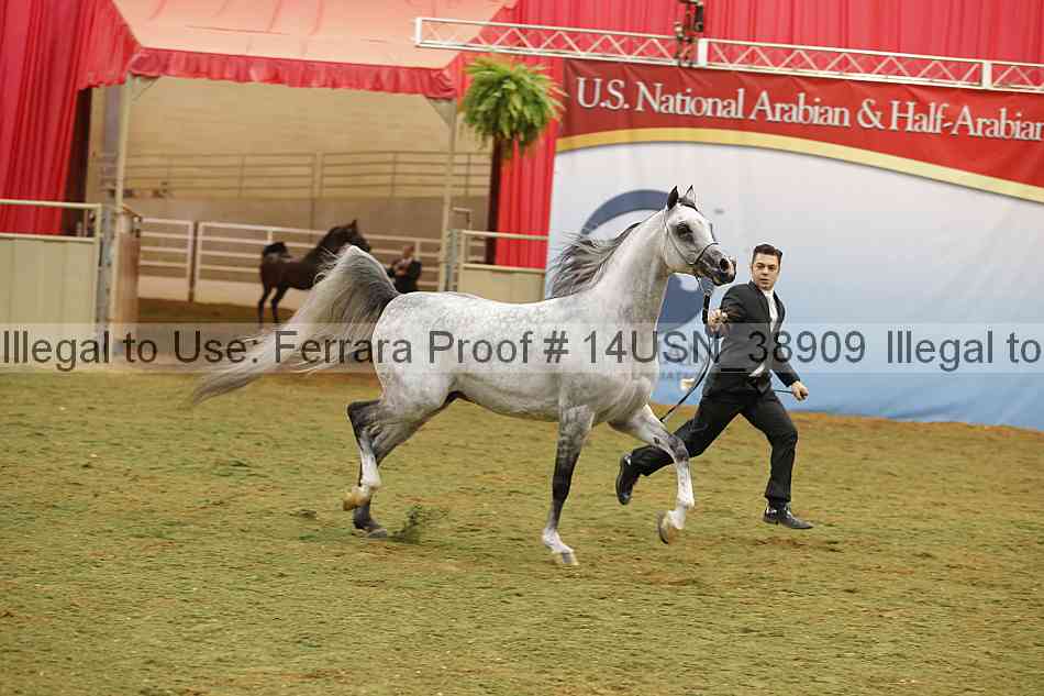 Proof 14usn_38909