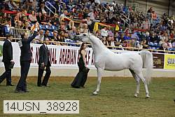 14usn_38928 proof