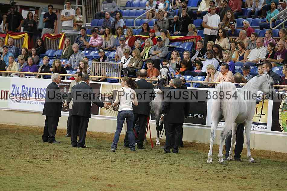 Proof 14usn_38954