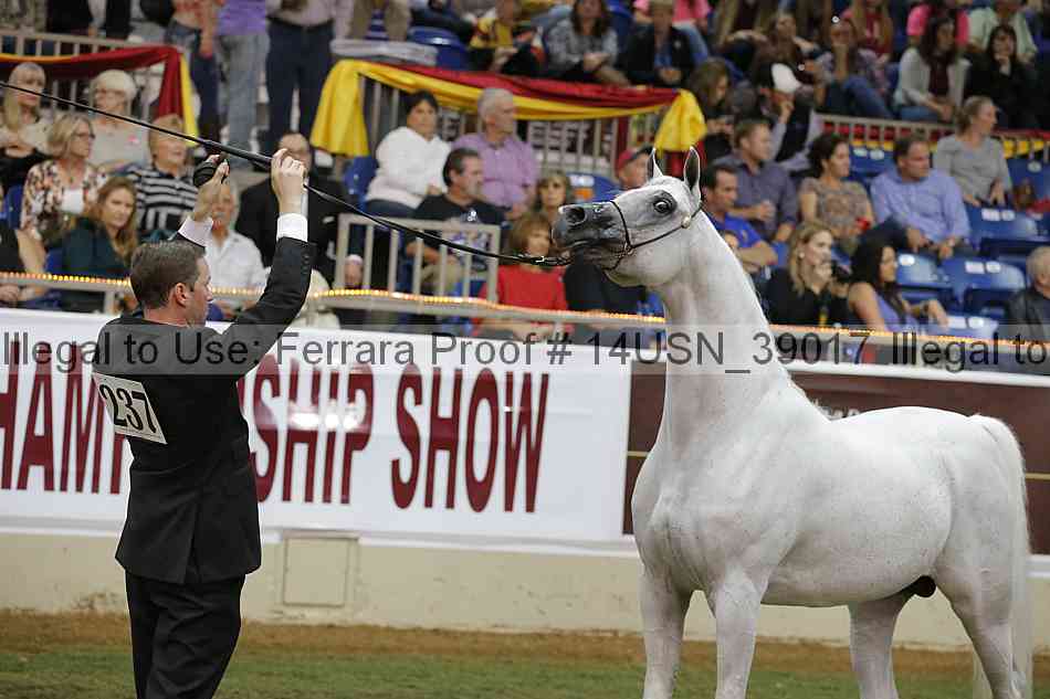Proof 14usn_39017