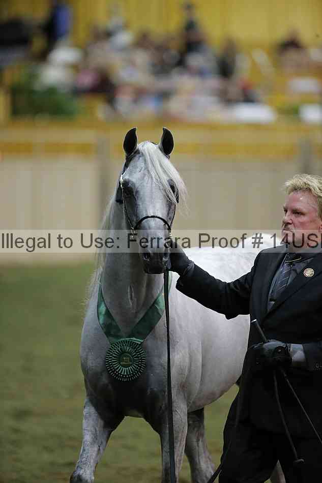 Proof 14usn_39027