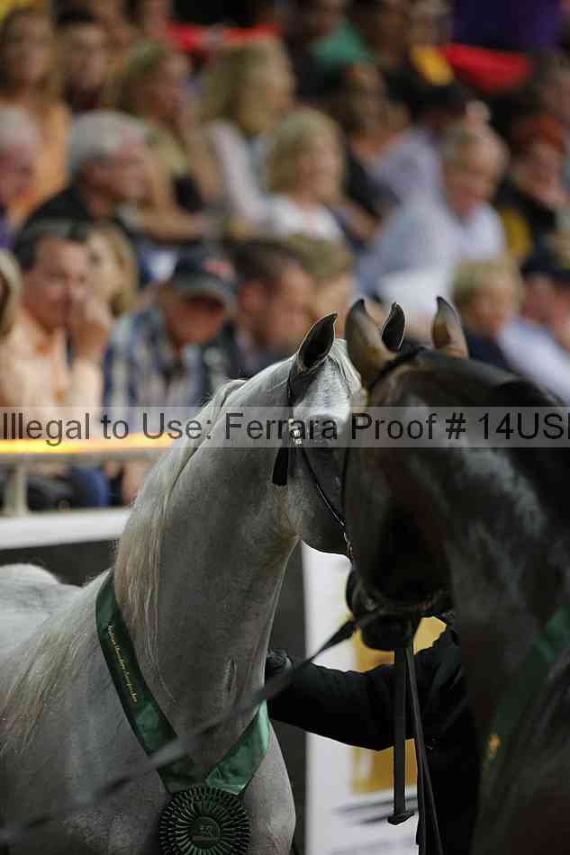Proof 14usn_39028