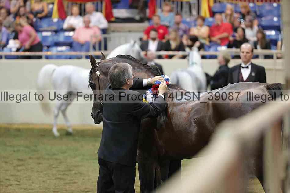 Proof 14usn_39087