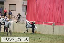 14usn_39106 proof