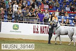 14usn_39146 proof