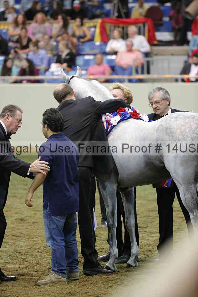 Proof 14usn_39161