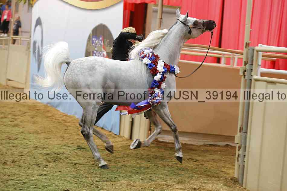 Proof 14usn_39194