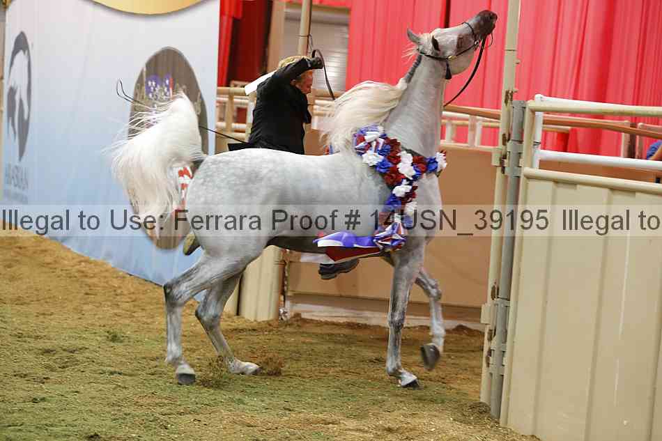 Proof 14usn_39195