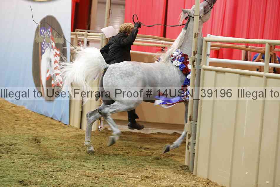 Proof 14usn_39196