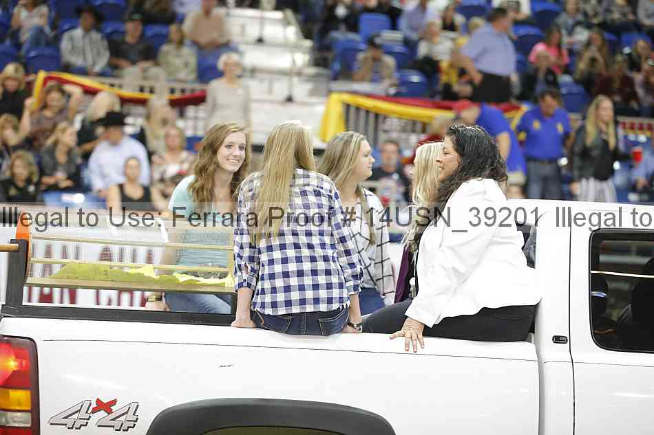 Proof 14usn_39201