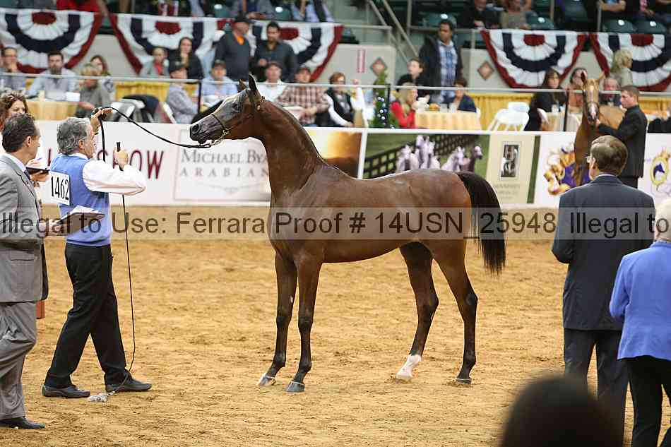 Proof 14usn_25948