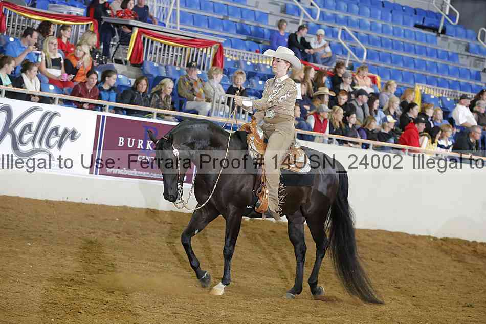 Proof 14usn_24002