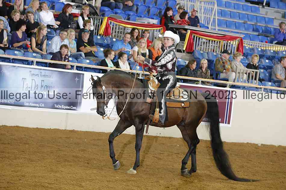 Proof 14usn_24023