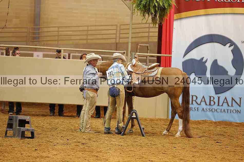 Proof 14usn_24045